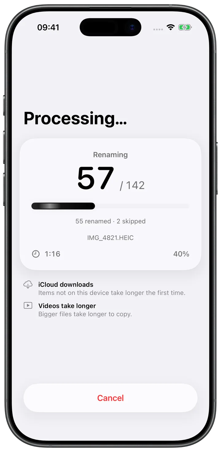 EXIF.ER processing a batch, with renamed and skipped file counts and a cancel button.