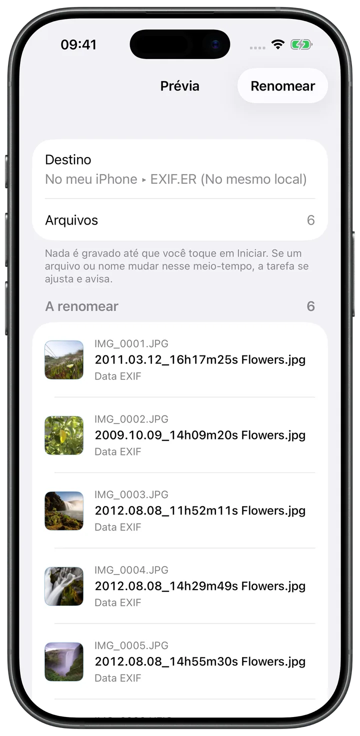 Prévia de pasta do EXIF.ER mostrando nomes originais e nomes propostos com a data de captura antes do processamento.